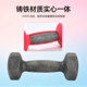 Plastic dipped dumbbells for women fitness solid cast iron dumbbells