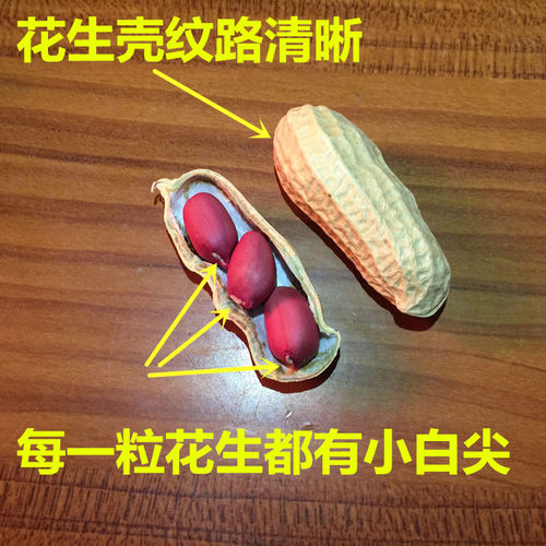 2025年生红皮花生带壳晒干原味高产种子籽农家铁锅炒熟红衣花生米 - 图1