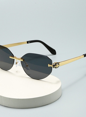 保罗雷朋官网欧美风2025新款墨镜大牌太阳眼镜金属无框多边形时尚