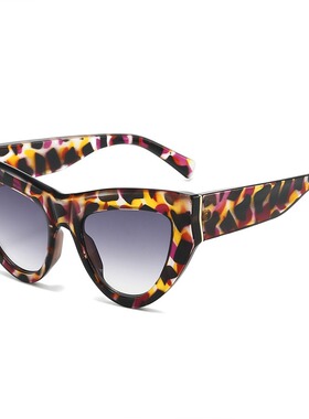 保罗雷朋官网2026新款时尚太阳镜欧美个性潮酷嘻哈猫眼墨镜户外摆