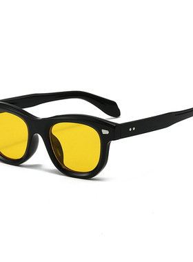 保罗雷朋官网日系网红同款墨镜男款痞帅复古潮黄色夜视街拍太阳眼