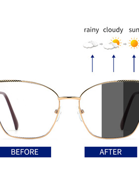 保罗雷朋官网新款跨境欧美个性金属眼镜架男近视眼镜女高级感防蓝