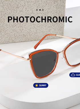 保罗雷朋官网金塑混合弹簧腿光学镜时尚套圈猫眼平光镜外贸个性防