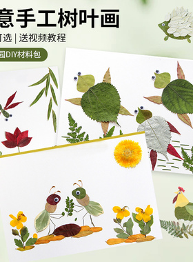 天然真树叶植物标本粘贴画材料包