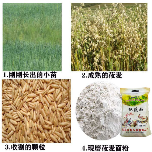 山西特产农家莜麦面粉纯莜面粉攸麦面燕麦面粉石磨莜面5斤装包邮 - 图1