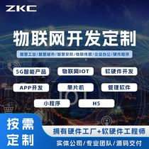 Internet of Things Software Development Hardware Custom APP Single-chip Enterprise Management Software Android Apple Small Program On