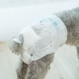 Ультра -тонкие собачьи физиологические штаны Тедди маленькие собачьи подгузники Менструальная тетя штаны Pet Boy Dog Специальная санитария