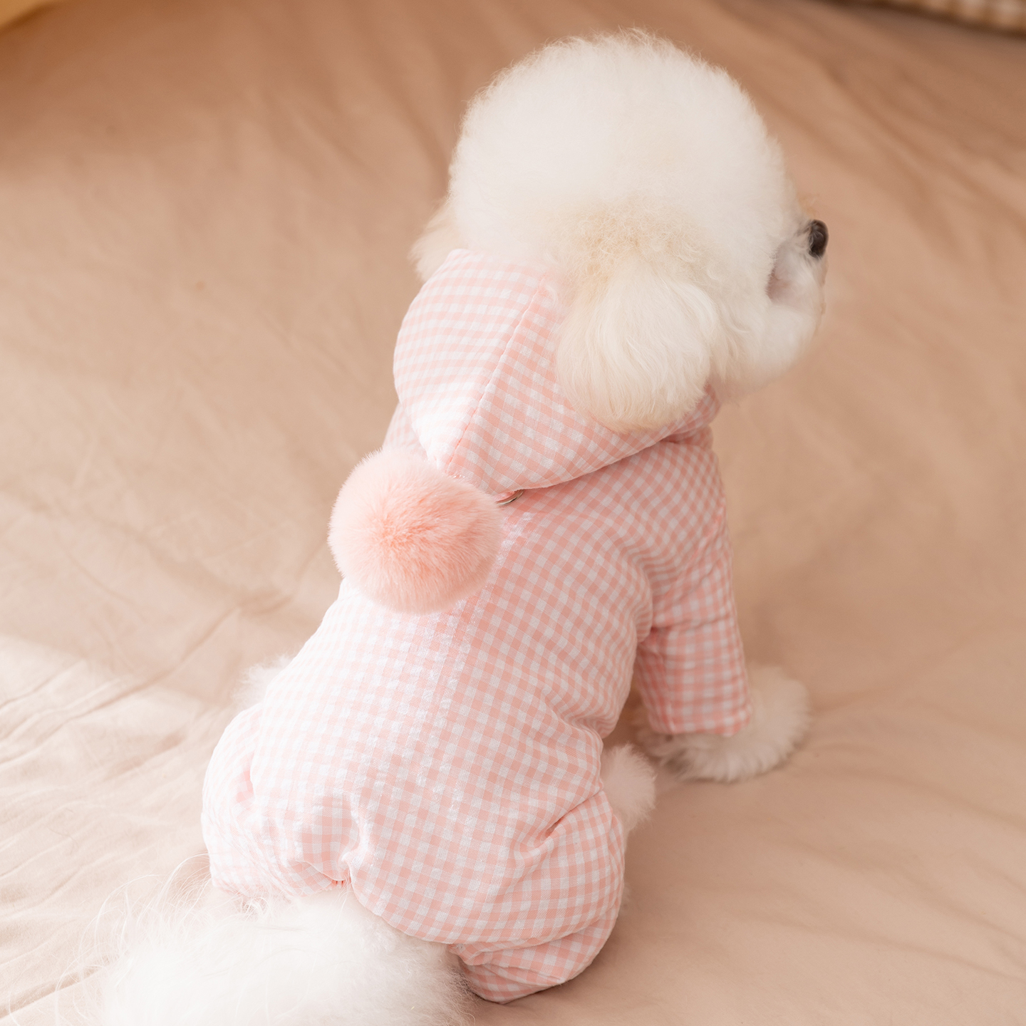 小狗狗衣服冬装加厚保暖泰迪比熊雪纳瑞小型犬宠物四脚棉衣秋冬天 - 图1