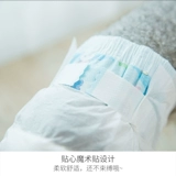 Ультра -тонкие собачьи физиологические штаны Тедди маленькие собачьи подгузники Менструальная тетя штаны Pet Boy Dog Специальная санитария