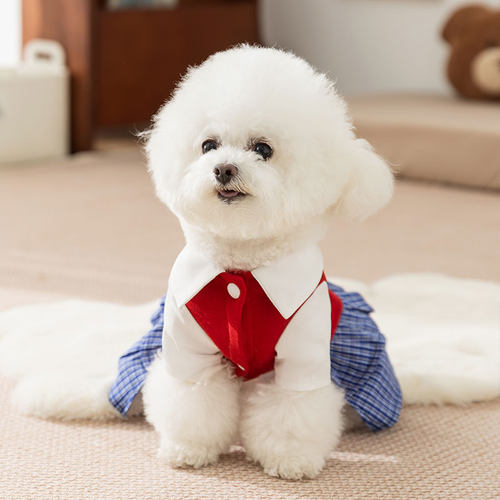 学院风衬衫裙春秋薄款小狗狗衣服比熊泰迪宠物小型幼犬秋季狗裙子 - 图1