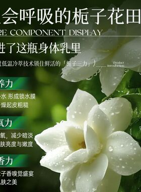 EMWM凡士林栀子花身体乳补水保湿滋润嫩肤止痒防干裂起皮改善粗糙