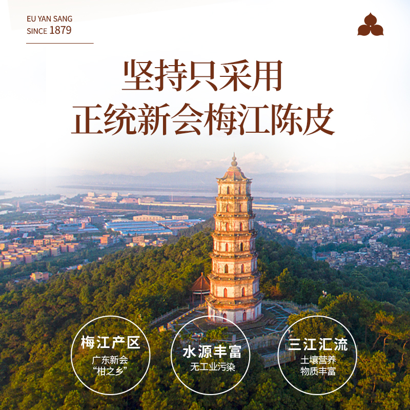 余仁生陈皮正宗10年新会陈皮广东特产橘皮泡水养生茶老陈皮茶50g