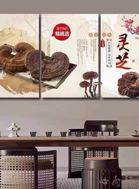 中药材挂图灵芝中医养生馆宣传海报广告贴画中草药介绍药店装饰画