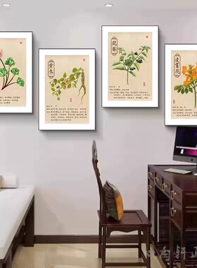 中医馆药材挂画中草药装饰画药店药铺药房麦冬白芍背景墙壁画