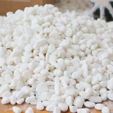 Натуральная раковина коралловый песок Средиземноморский морская вода для воды коробки рыба украшение аквариума океанская тема тема свадебной сцены сцены