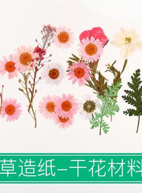 树叶粘贴画枫叶幼儿园标本手工diy梧桐叶银杏叶压花植物书签叶子
