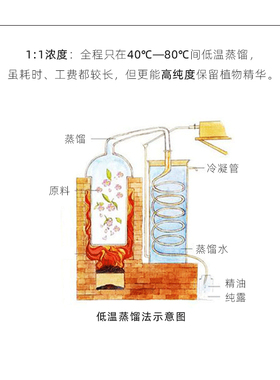 马迷纯露马鞭草酮迷迭香喷雾爽肤水去闭口粉刺收缩毛孔 diy资本家