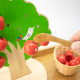 ເຄື່ອງຊ່ວຍສອນ Montessori ສໍາລັບຊີວິດປະຈໍາວັນ, ມືແລະຕາຈັບແມງໄມ້ປິດ