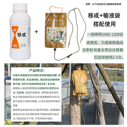 国光移成施它活大树营养液吊瓶移栽树木吊针袋植物复活果树输液管 - 图1