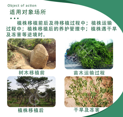 国光抑蒸抑制蒸发剂减少叶面蒸腾防止水分散失抗旱保水剂浓缩型 - 图1