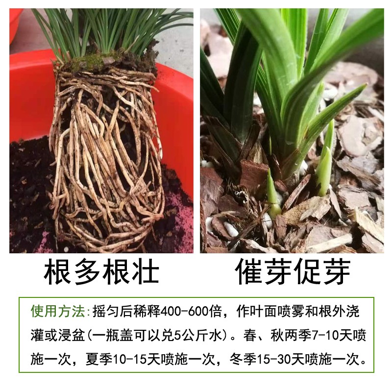 华奕兰菌王正品兰花专用营养液肥料兰草EM菌生根催芽促花壮苗花肥 - 图1