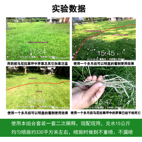 靓禾暖能农药马尼拉台湾草坪除草剂水花生牛筋草马唐莎草茅草烂根 - 图2