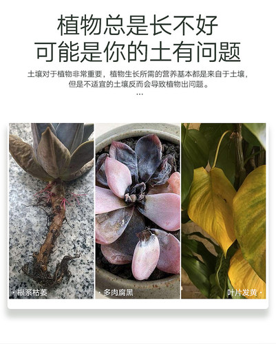 进口压缩椰砖有机营养土椰糠椰壳土养花种菜多肉土壤低盐无菌通用 - 图0