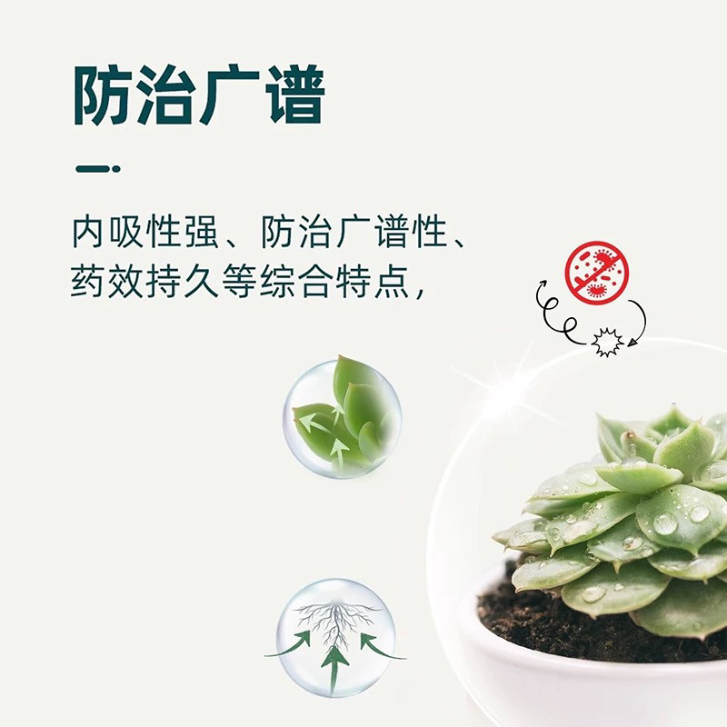 千百季小黑药精甲恶霉灵多肉月季黑杆烂根花卉枯萎土壤消毒杀菌剂,淘宝优惠券,粉丝福利购,淘宝优惠卷