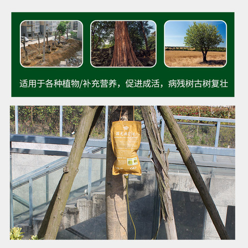 国光移成施它活大树营养液吊瓶移栽树木吊针袋植物复活果树输液管 - 图2