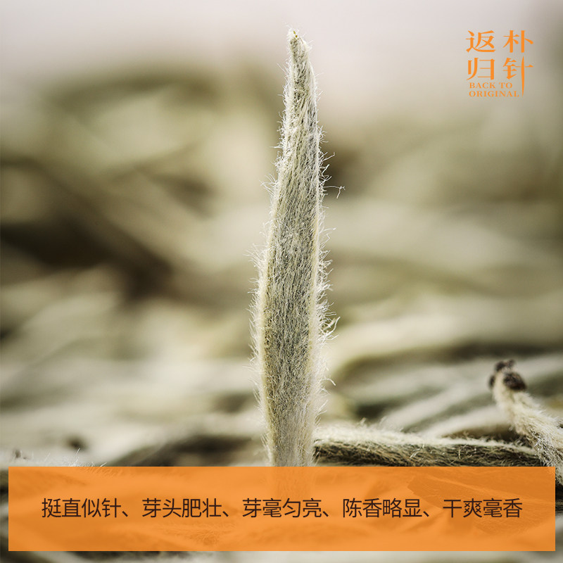 品品香福鼎白茶返朴归针2022特级白毫银针茶叶礼盒60g收藏老白茶,淘宝优惠券,粉丝福利购,淘宝优惠卷