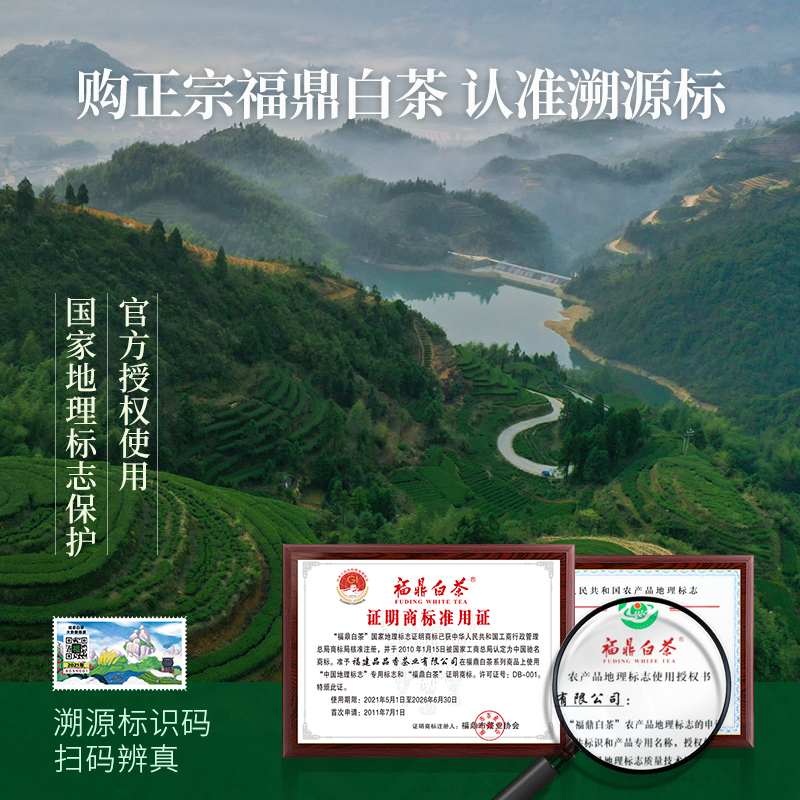 【茶礼】品品香茶叶福鼎白茶2021年紧压高山白牡丹饼250克礼盒装 - 图1