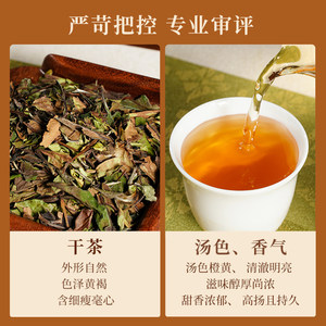 品品香福鼎白茶2025年寿眉3斤装 大分量囤茶收藏装茶叶自己喝
