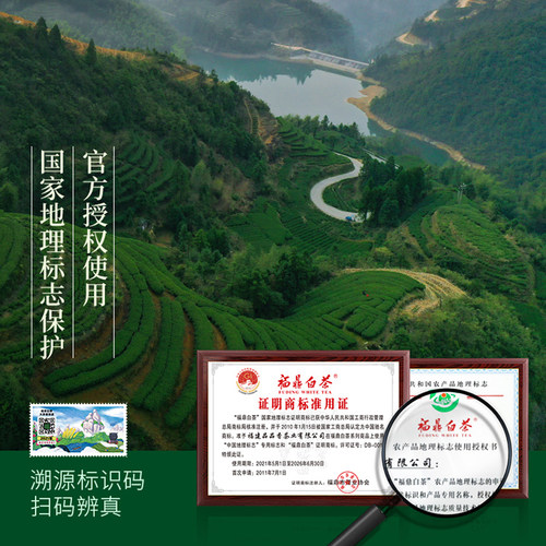 品品香茶叶福鼎白茶2023年白牡丹600g 高性价比口粮茶自己喝正品 - 图1