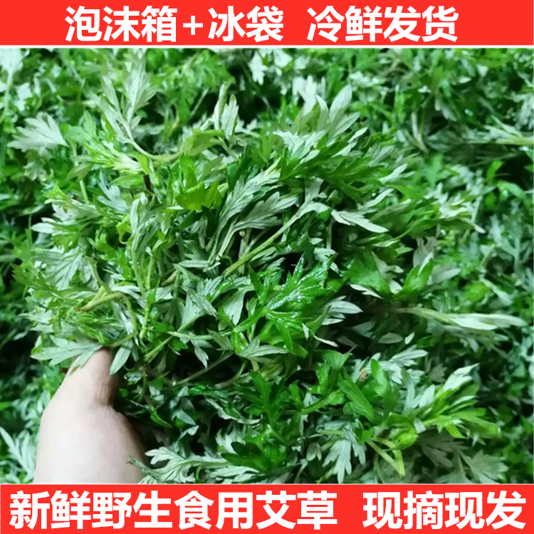 现摘新鲜食用艾草叶江西野菜青团糍粑粑清明果嫩艾叶艾蒿艾米果 - 图2