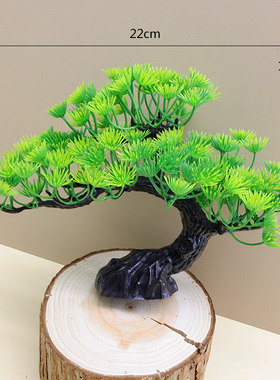 小盆栽桌面植物室内装饰玄关假花