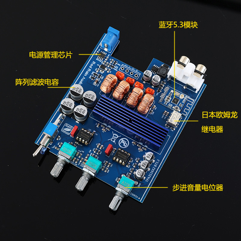 罗德雨TPA3116 2.0数字功放机 家用桌面100W*2红环电感 蓝牙5.3 - 图0