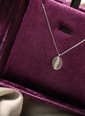 小众设气质高级感微镶钻咖啡豆几何椭圆项链钛钢锁骨链