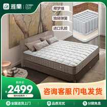 Jalan Natural Coconut Palm Mattress Hard Mat 1 8 m Spine Latex Solo Bag Spring Mattress Deep Sleeping Plus Hard Plus