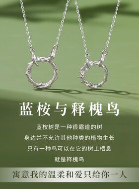蓝桉与鸟情侣项链一对高级感锁骨链轻奢小众设计纪念礼物送男女友