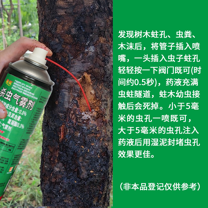 果攸擒天牛幼虫药杀虫剂 樱桃树无花果钻心虫蛀杆虫吉丁虫专用药 - 图0