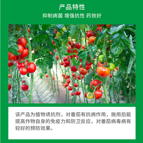 沪联锐抗 氨基寡糖素5%番茄病毒病西红柿黄化卷叶杀菌剂 - 图1