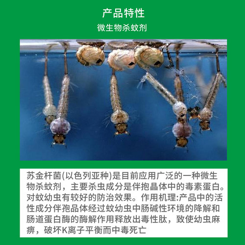 康欣苏云金杆菌以色列亚种杀蚊子（幼虫）孑孓杀虫剂下水道水塘 - 图1