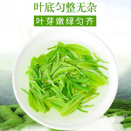 金果绿茶恩施玉露特级明前茶恩施富硒茶湖北特产蒸青高山云雾茶叶-图2