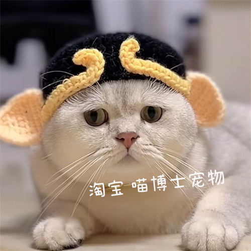 猪八戒宠物纯手工毛线针织猫咪帽子狗狗过年新年喜庆醒青蛙套头饰