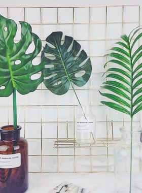 ins风家居客厅透明玻璃容器花瓶