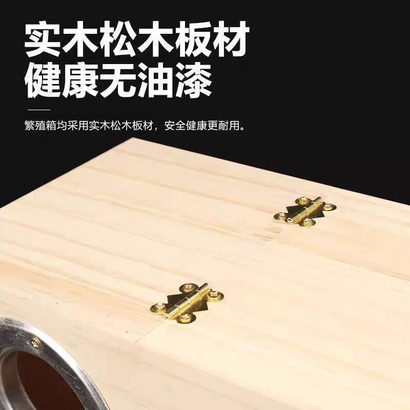 实木鹦鹉繁殖箱保暖鸟类孵化器虎皮牡丹玄凤小太阳鸟用保温鸟窝,淘宝优惠券,粉丝福利购,淘宝优惠卷