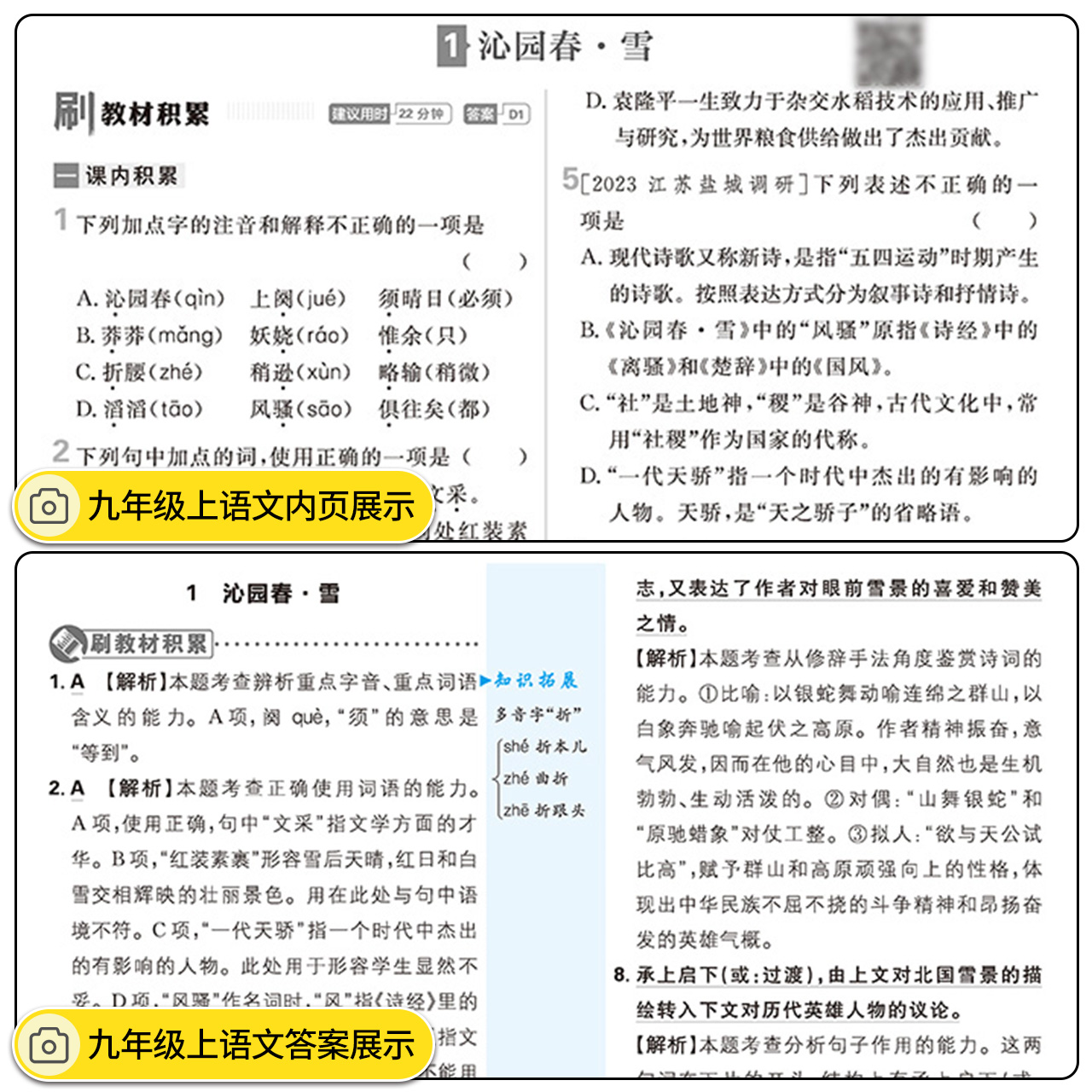 全套任选2024初中必刷题七年级数学上册下册语文英语物理化学政治历史生物地理八九年级初一二三中考试卷教辅人教沪科湘教北师大版 - 图3