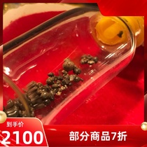 The Atyfa W solidity 1 mm mind the size Dont shoot for the Schleitättgäu box