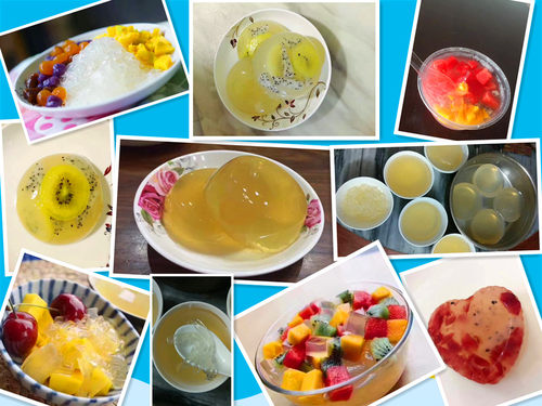 石花菜海冻菜青岛海凉粉岩衣洋菜海石花草四果汤石花膏原料海石花 - 图0