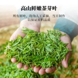 Весенний чай находится на рынке Wenxin xyneang Maojian Tea Leaf Green Tea 2025 Новый чай предварительно нежные ростки и листья Zhenwei Tea Can 50G